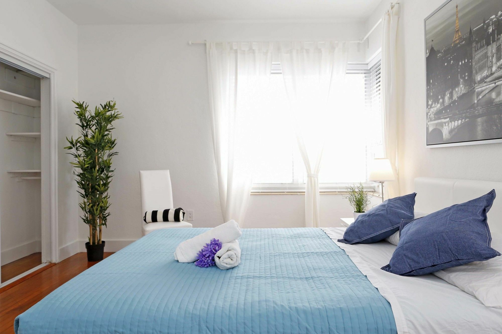 Pellicano Suites מיאמי ביץ' מראה חיצוני תמונה