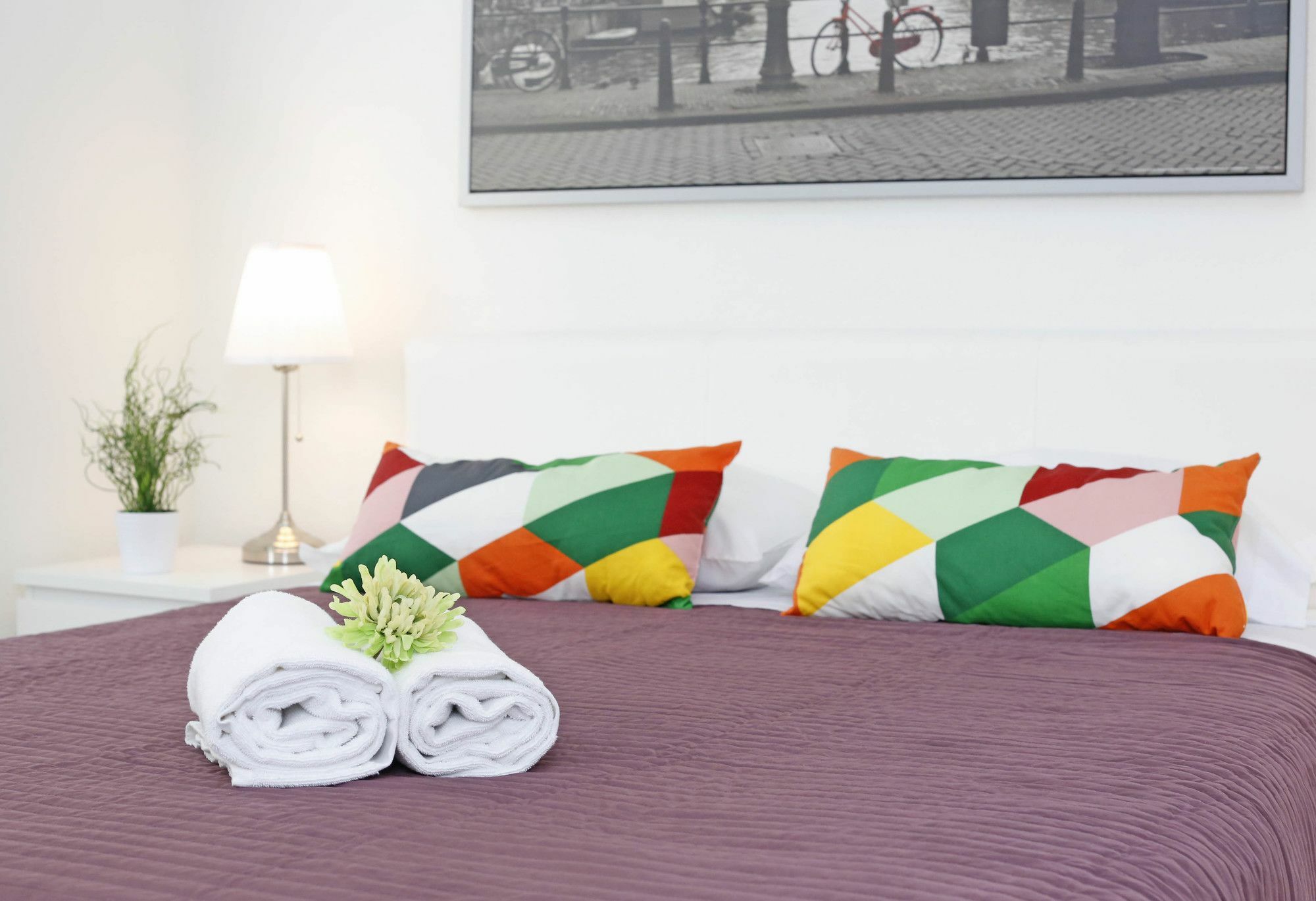 Pellicano Suites מיאמי ביץ' מראה חיצוני תמונה